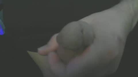 lone stallion online show from February 12, 3:51 am