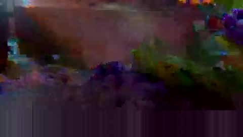 Snapshot of creameatr chatting on October 10, 2:01 pm creameatr online show from October 10, 2:01 pm