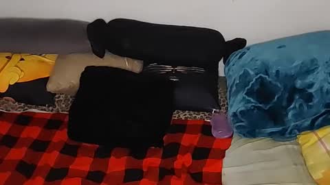 creamyhub online show from November 17, 6:16 am