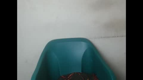 Snapshot of creamyxmuffin chatting on September 15, 7:54 am creamyxmuffin online show from September 15, 7:54 am