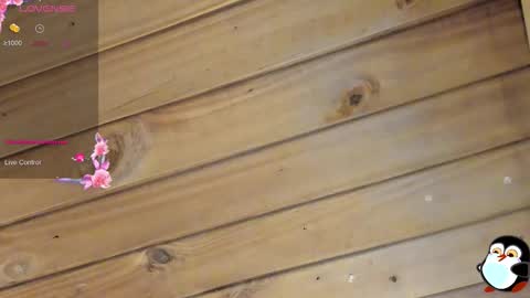 Cristal online show from March 22, 4:05 am