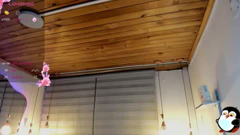 Cristal online show from February 3, 6:40 am