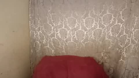 carol     online show from April 6, 2:31 am