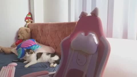 Crystal Blaze online show from November 24, 7:45 pm