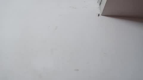 cuddlemuffins online show from January 9, 1:06 pm