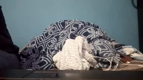 cumbian_chero online show from July 14, 3:44 am