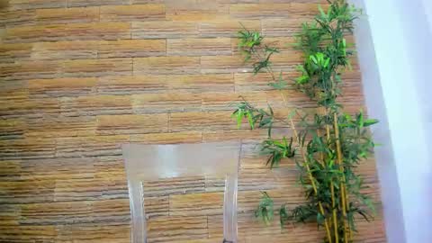 cupcake_izzy online show from December 5, 6:01 am