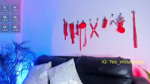 Rose online show from November 24, 11:25 pm