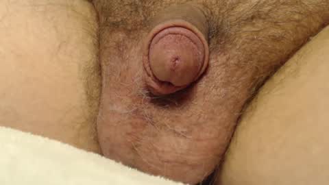 curve66 online show from January 10, 9:31 pm