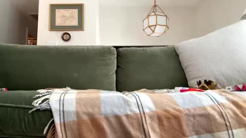 curvyd454066 online show from February 17, 2:16 pm