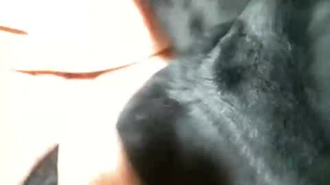 BI SMOOTH MATURE  SUB online show from March 5, 11:27 pm