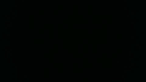 cutewaldo online show from November 9, 6:50 am