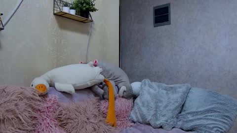 cuttiebunny online show from March 23, 12:26 am