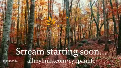 Cynpai online show from November 17, 4:26 am