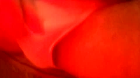 Snapshot of daaavy11 chatting on September 24, 12:39 am daaavy11 online show from September 24, 12:39 am