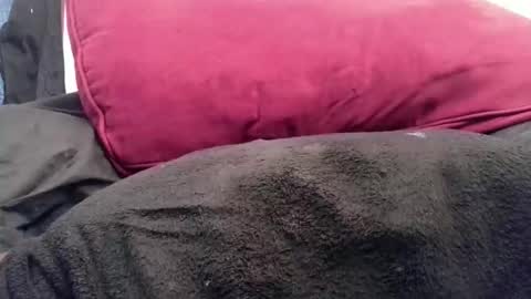 daddyy008 online show from November 28, 5:31 pm