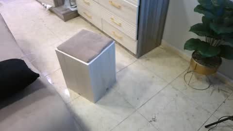 Deffa online show from February 23, 8:49 am