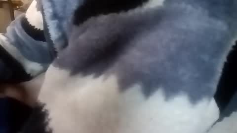 dagodex30 online show from December 19, 10:44 am