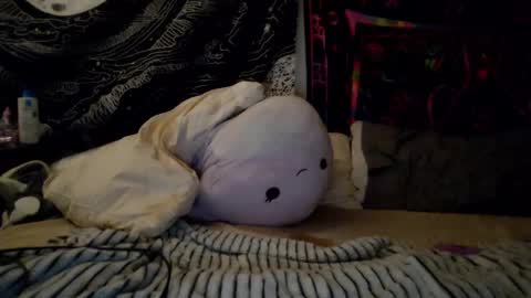 DaintyDarling online show from February 20, 6:28 am