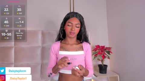 Daisy online show from November 25, 12:37 pm