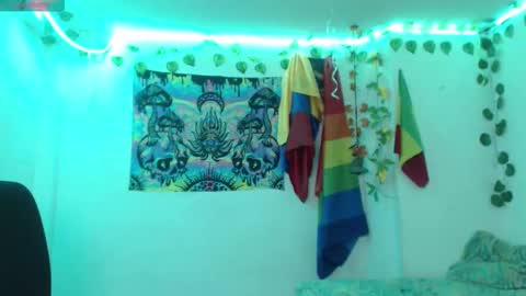 Dakko online show from February 6, 8:07 am