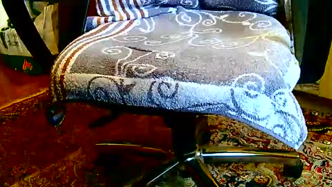 Dammerl online show from January 23, 1:24 pm