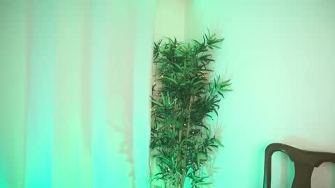 damon_frost online show from March 12, 11:19 pm