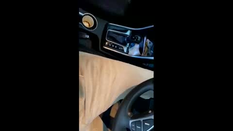 danbubs online show from December 16, 10:45 pm