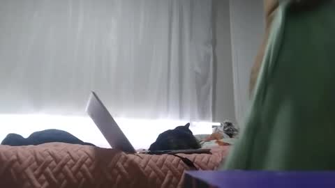 dani587378 online show from February 11, 9:25 pm