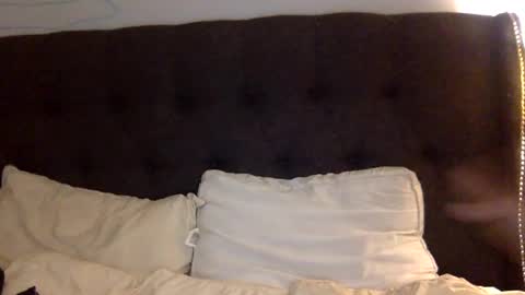 daniellbisous online show from November 16, 9:33 am