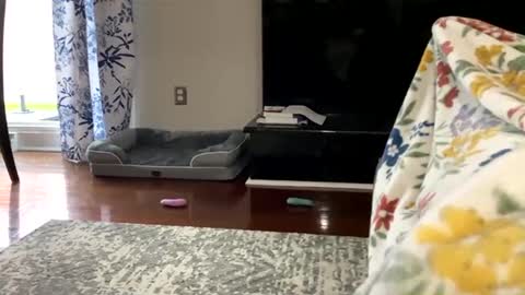 dannyboy621 online show from October 25, 1:22 pm