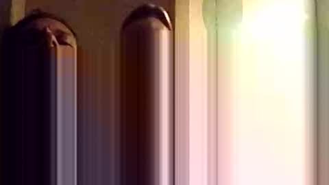 dano9696 online show from November 8, 10:29 am