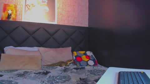 Dany online show from November 11, 5:37 pm