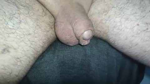 dapppper online show from June 23, 10:33 am