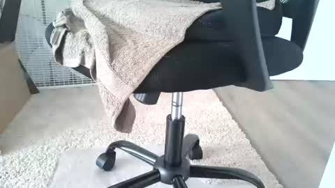 dapppper online show from June 13, 12:15 pm