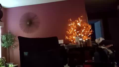 dareme917 online show from April 9, 2:34 pm