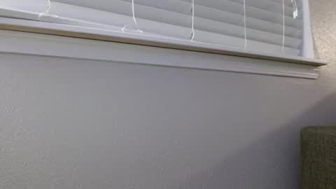 darreck30 online show from December 4, 8:25 am