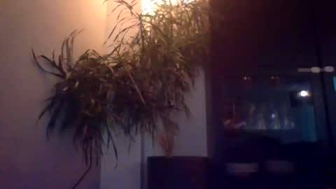 DaveyD88 online show from November 2, 7:03 pm