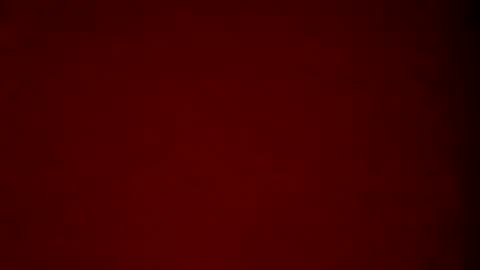 David1438 online show from December 12, 11:39 am