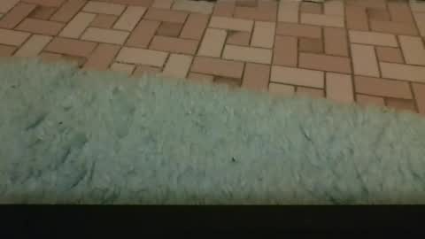 David online show from April 3, 4:03 pm