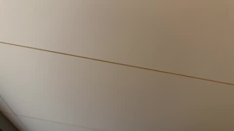 Hornybear online show from February 27, 7:28 pm