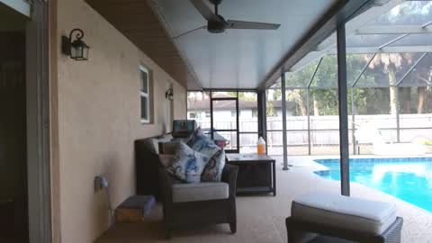 Dazey online show from November 24, 9:02 pm