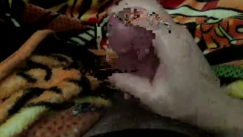 dboy606d online show from November 8, 8:12 pm