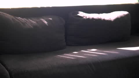 Tamara online show from February 25, 11:36 am