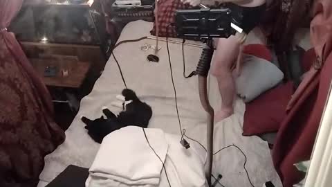 nik and cherry online show from January 4, 4:44 am