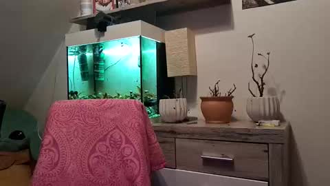 Denise and Brad online show from February 3, 5:06 pm