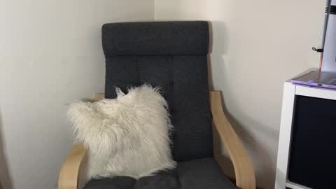 Devil online show from November 13, 1:25 pm