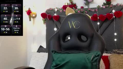 dharanisnisha online show from March 28, 12:06 pm