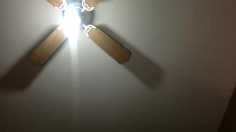 Dianaseshh online show from March 5, 6:00 am