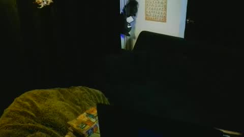 Damin online show from December 23, 5:49 am